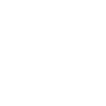 logo light